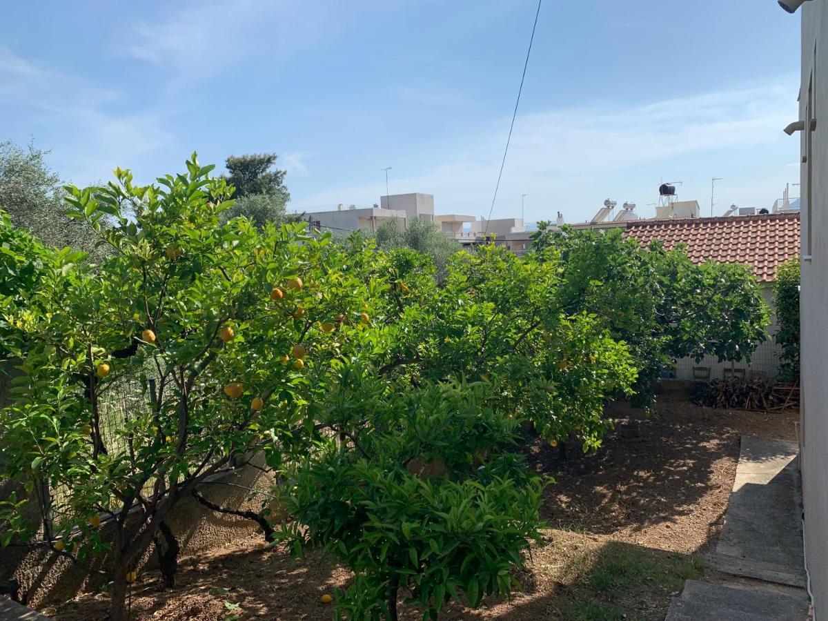 Αβαντιάς Abantias Loutra Edipsou (Evia) Exterior foto